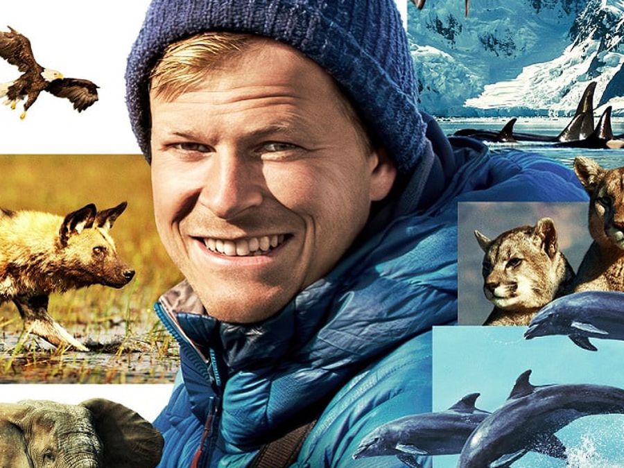 documentários vida selvagem BBC Disney+