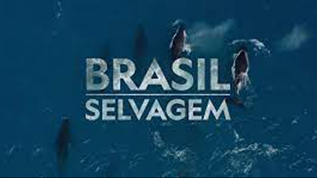 documentários premiados natureza streaming