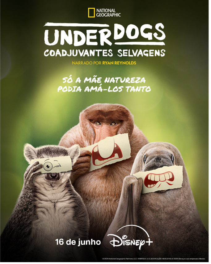 documentários premiados natureza streaming