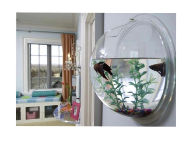 séries sobre a vida em aquários