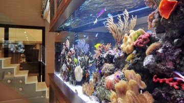 erros comuns ao montar um aquário de série