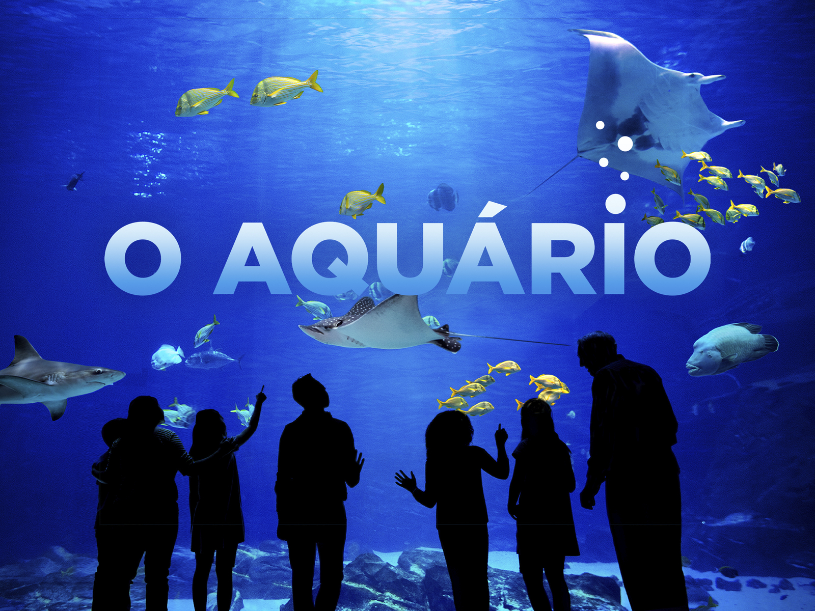 comparativo: séries de bastidores vs. séries de construção de aquários