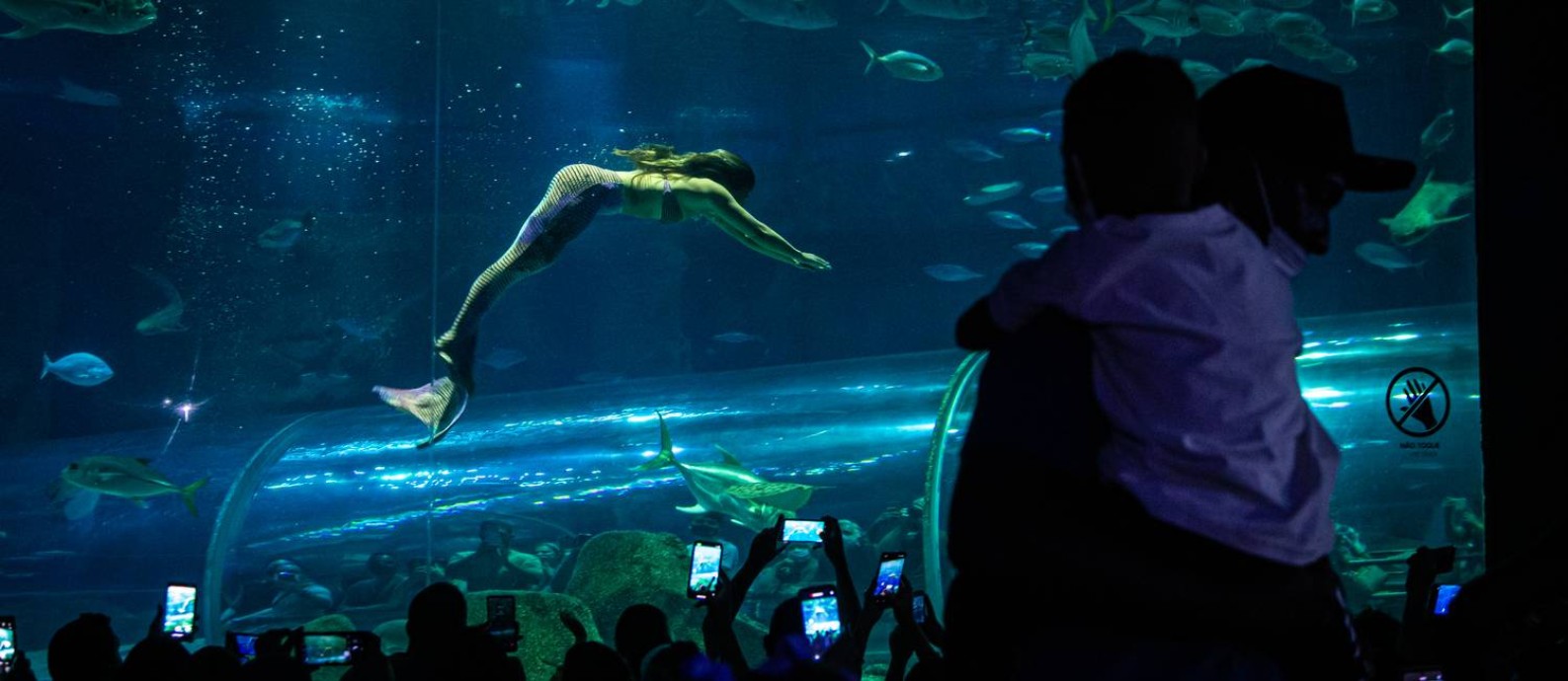 como recriar um aquário de série em casa