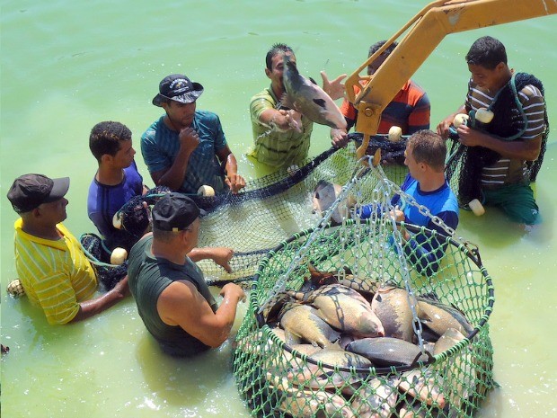 Mercado de trabalho para técnicos em aquicultura