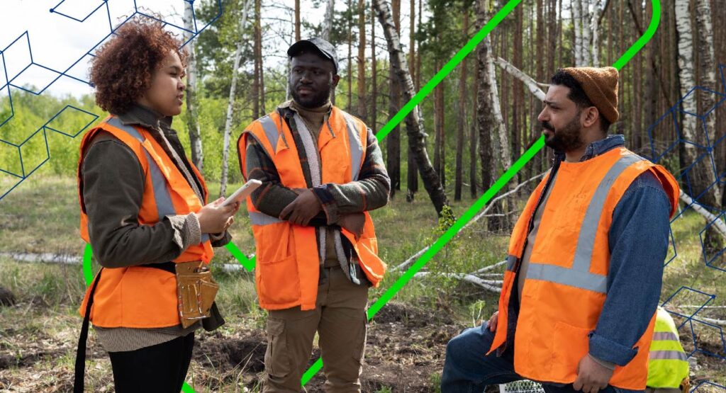 tecnico em florestas