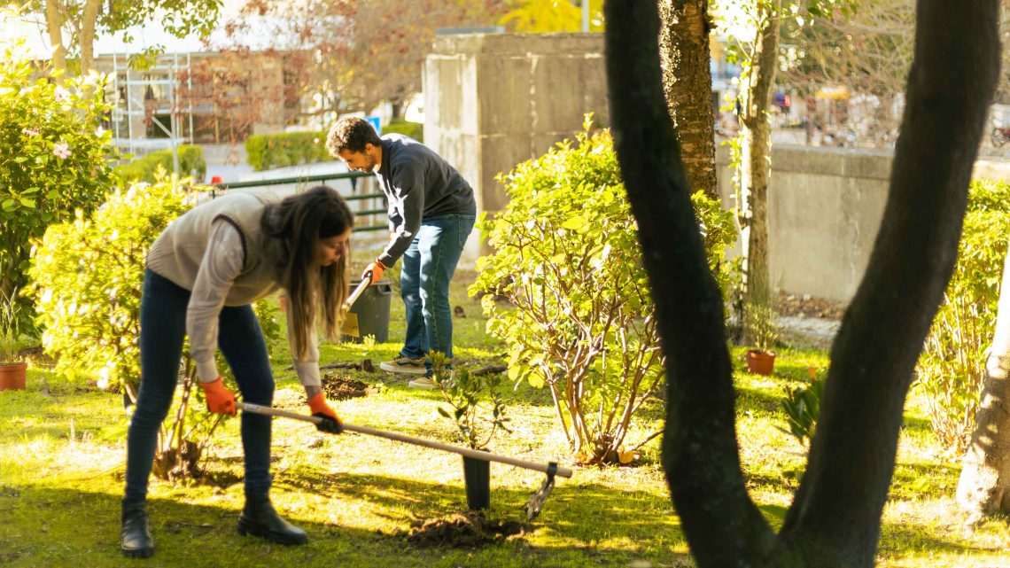 erros comuns ao iniciar carreira em florestas