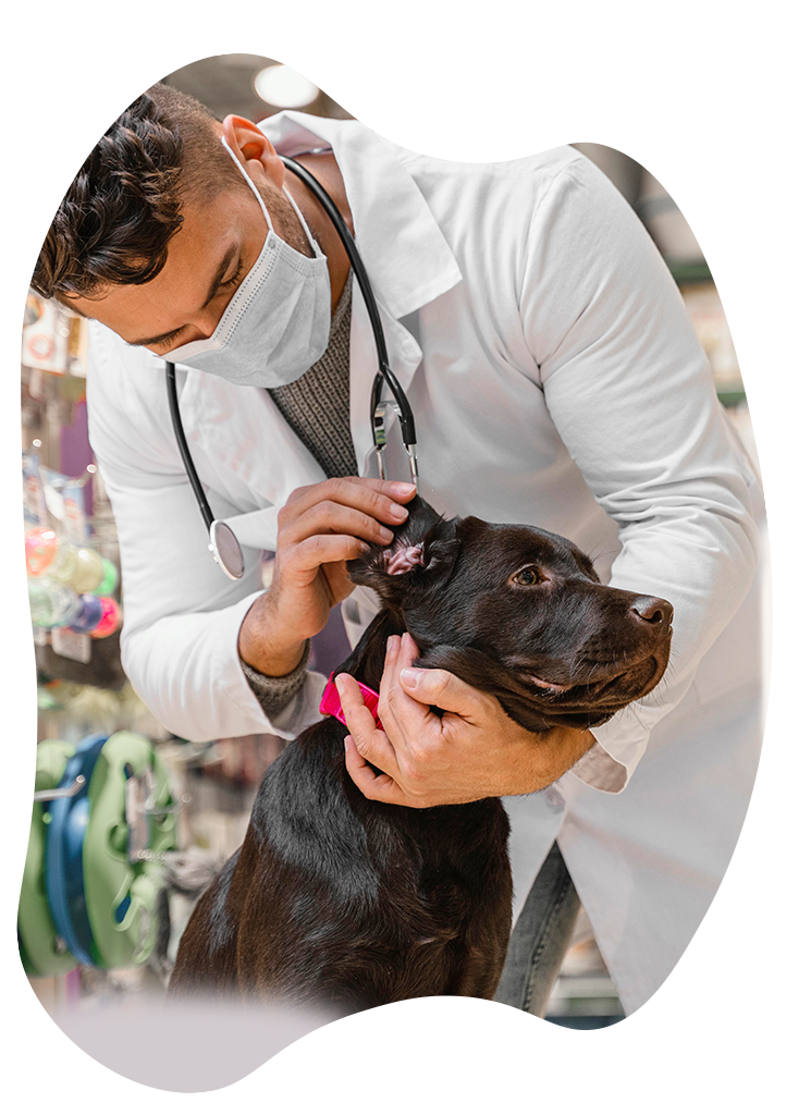 quanto ganha um técnico de veterinária