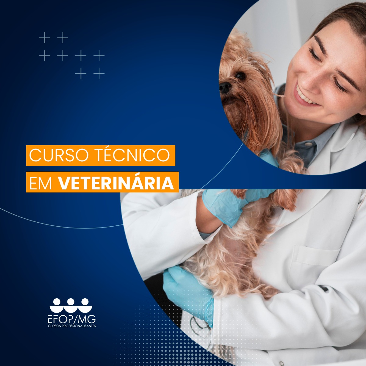 formação técnica em clínica veterinária