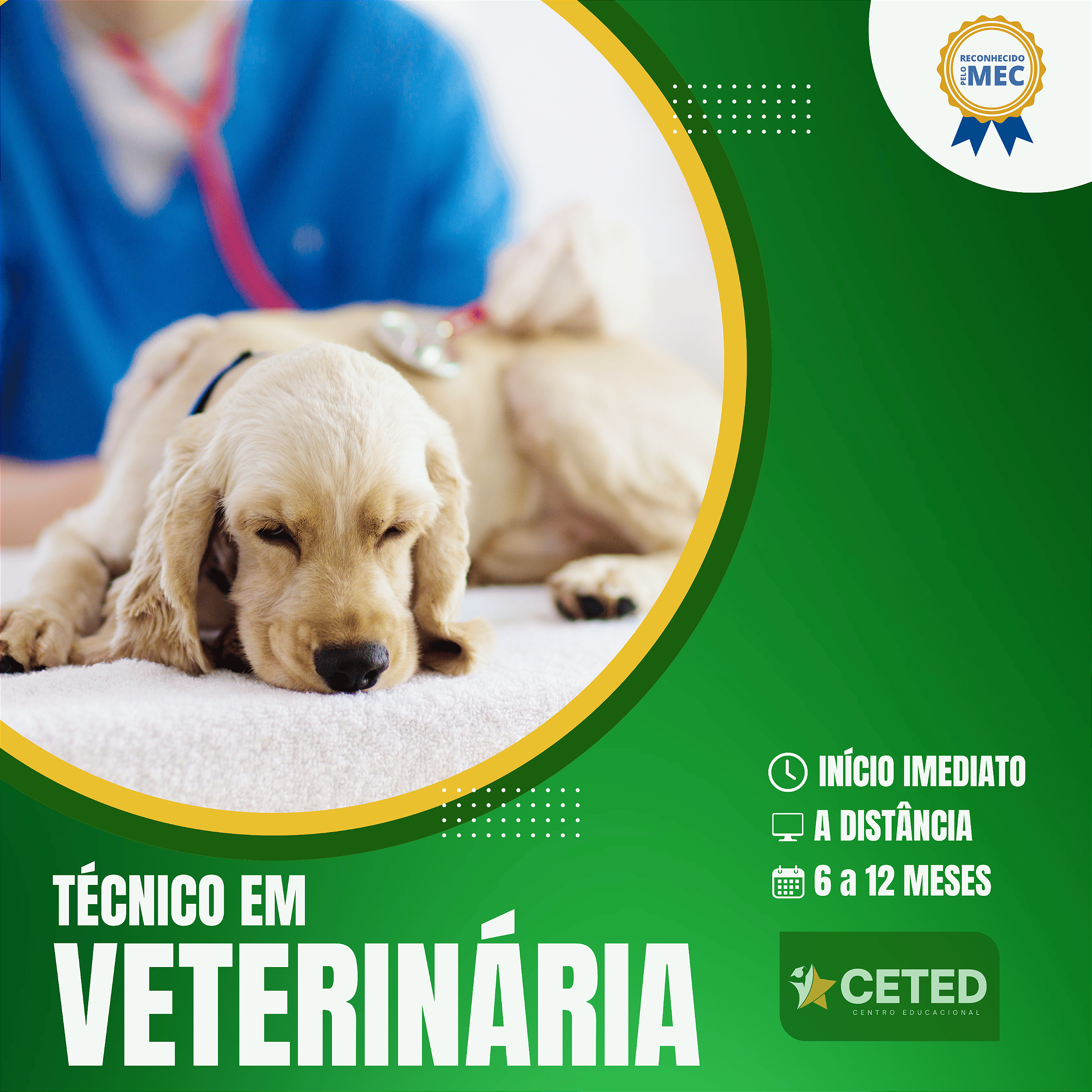 tecnico em veterinaria
