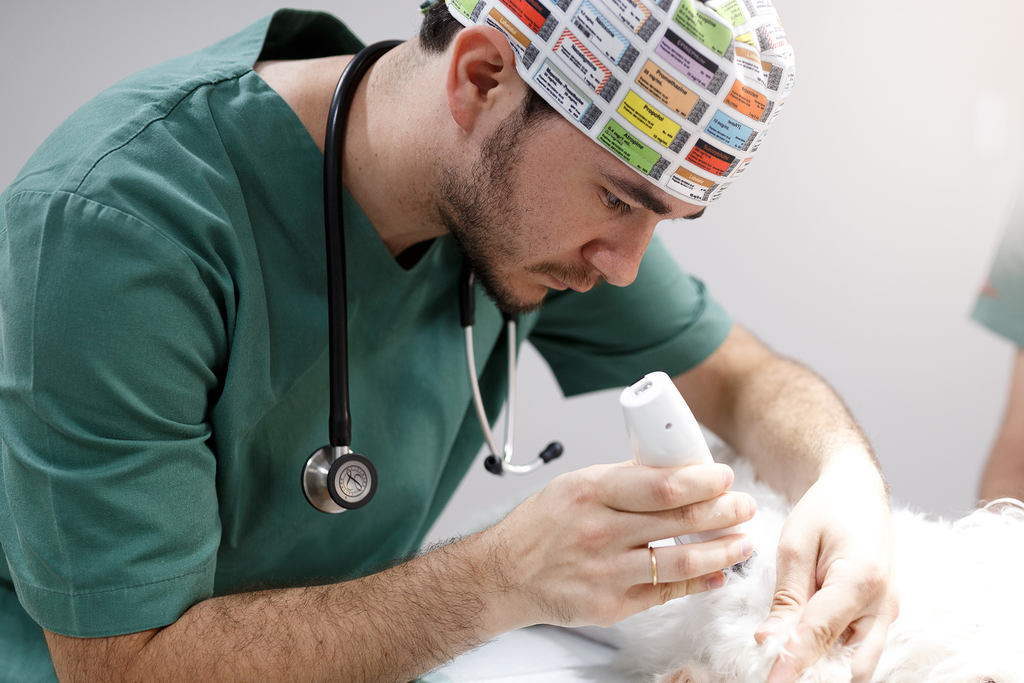 quanto ganha um técnico de veterinária
