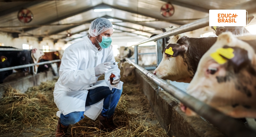 curso técnico veterinária salário