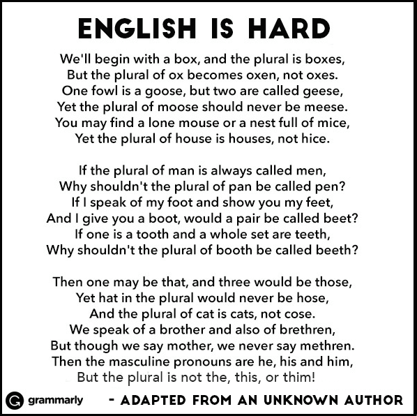 textos curtos em inglês para iniciantes