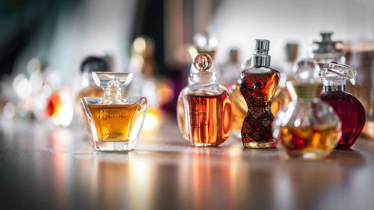 vender perfumes importados