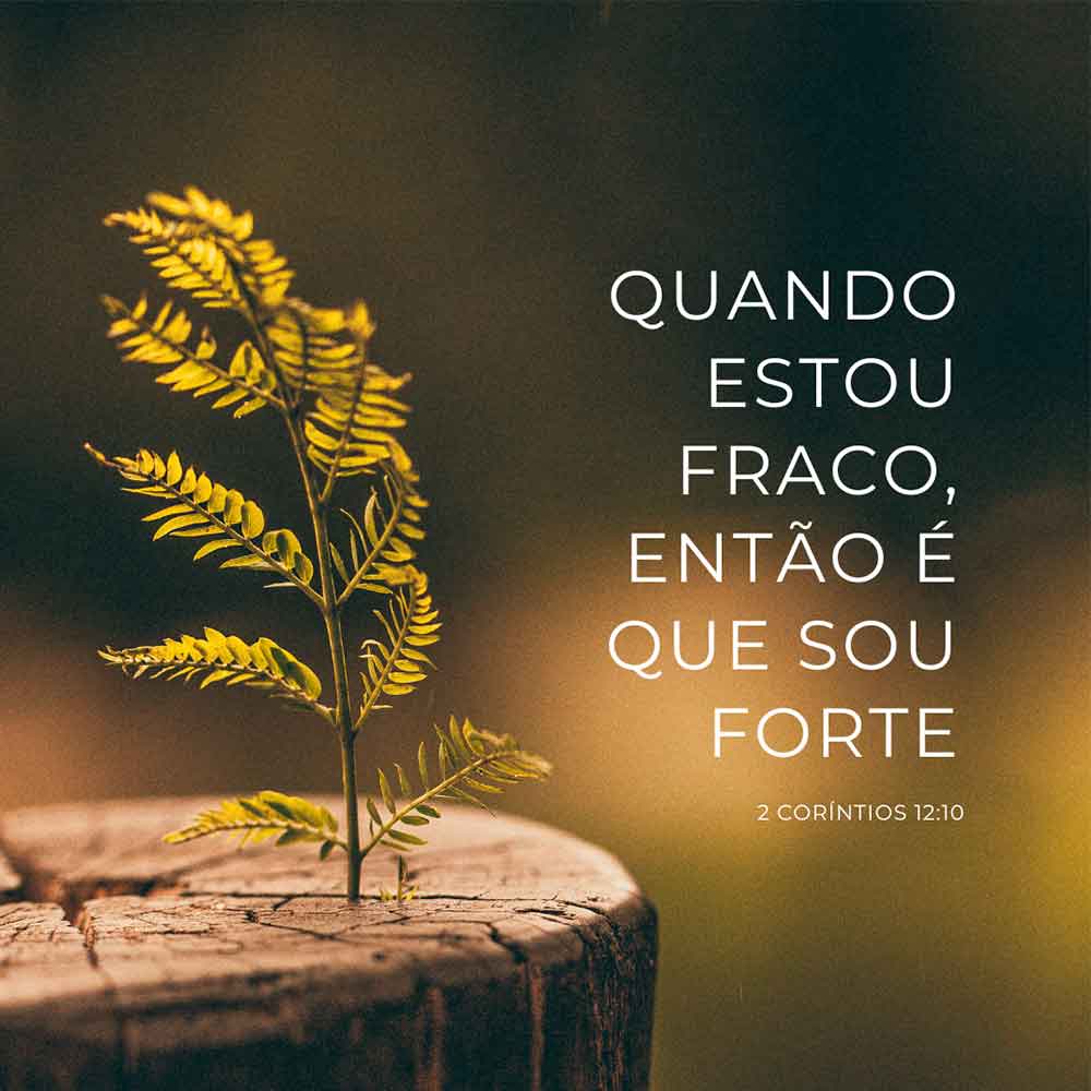 versículo de esperança e fé para recomeçar