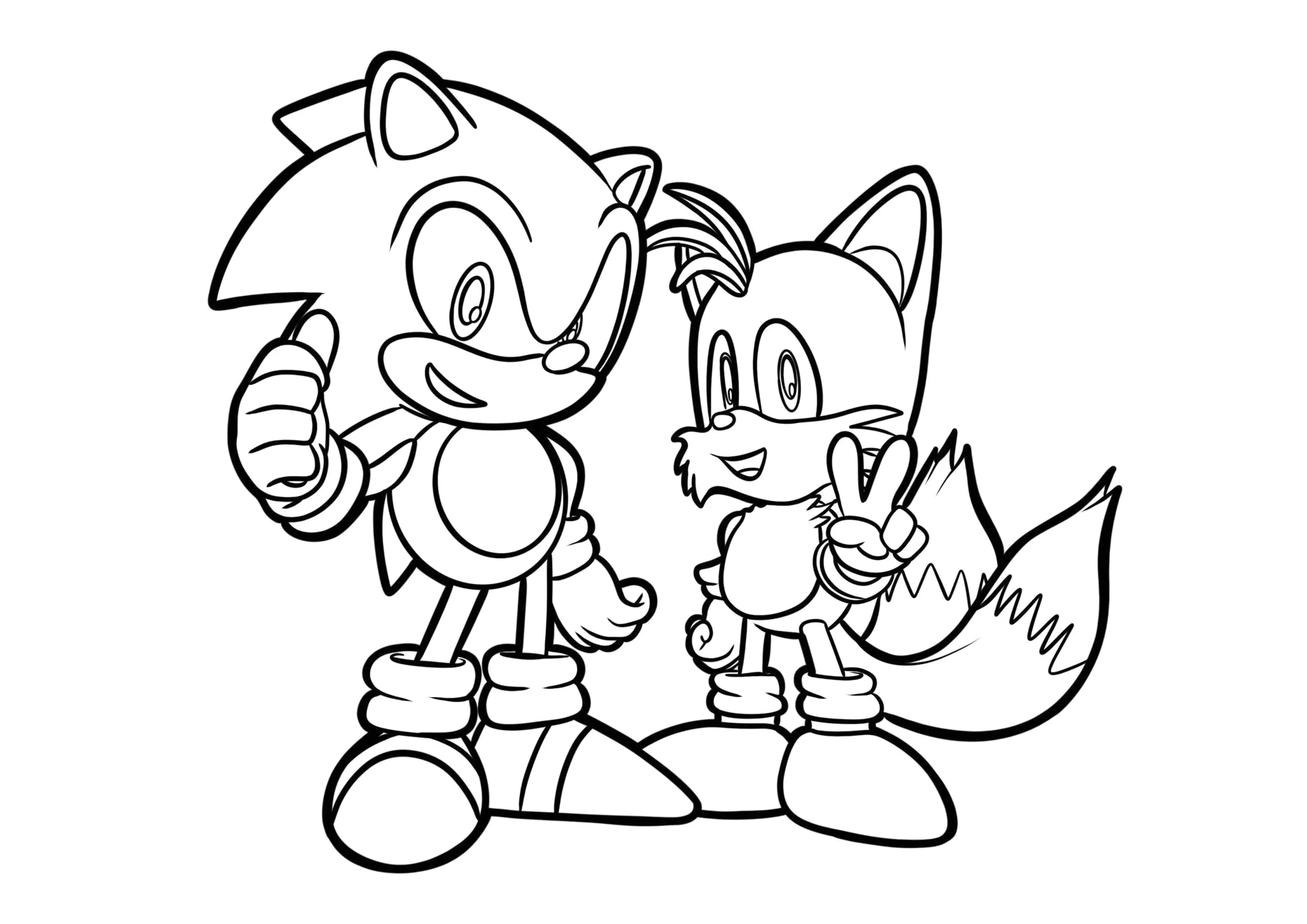 Amy Rose para colorir online