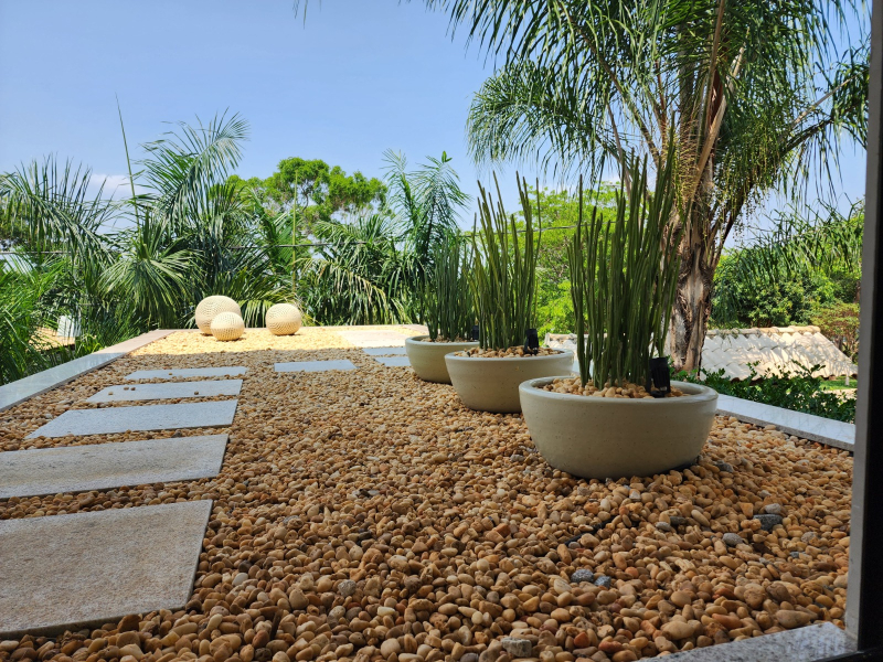 manutenção jardim de pedras
