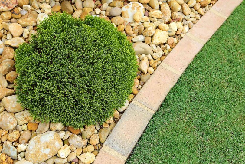 pedras para jardim de inverno