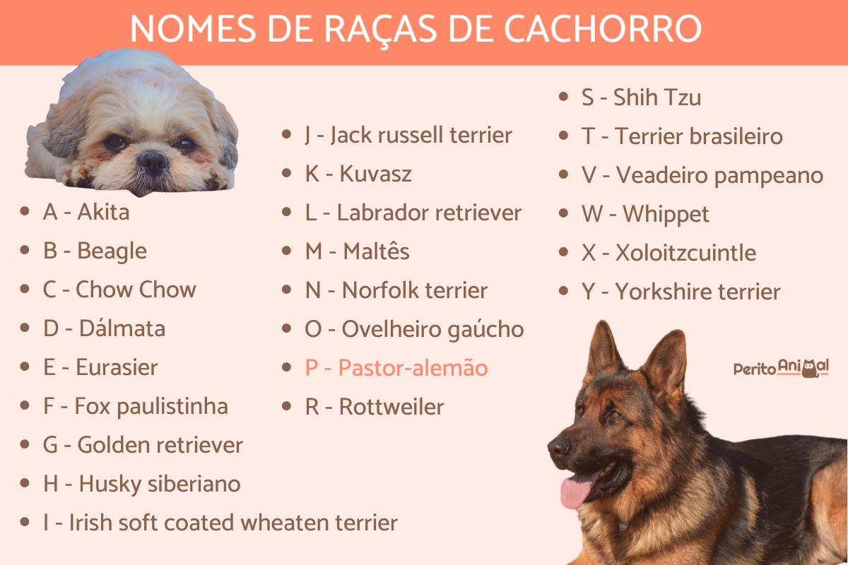 nomes originais para cachorro