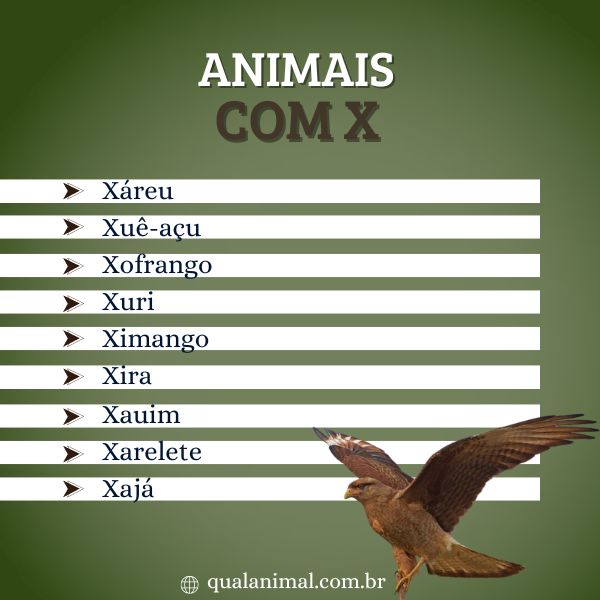 nomes com X para fêmeas