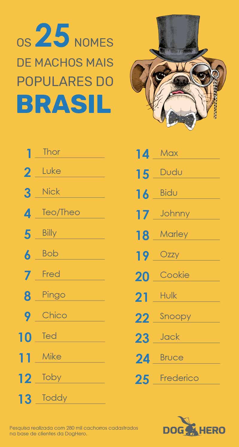 sugestões de nomes para cachorros
