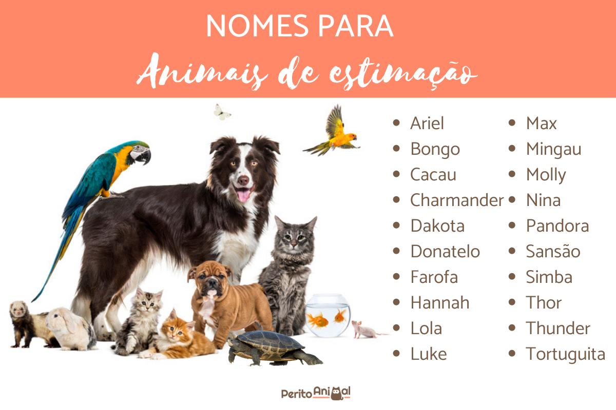 duplas de nomes para cachorro e gato
