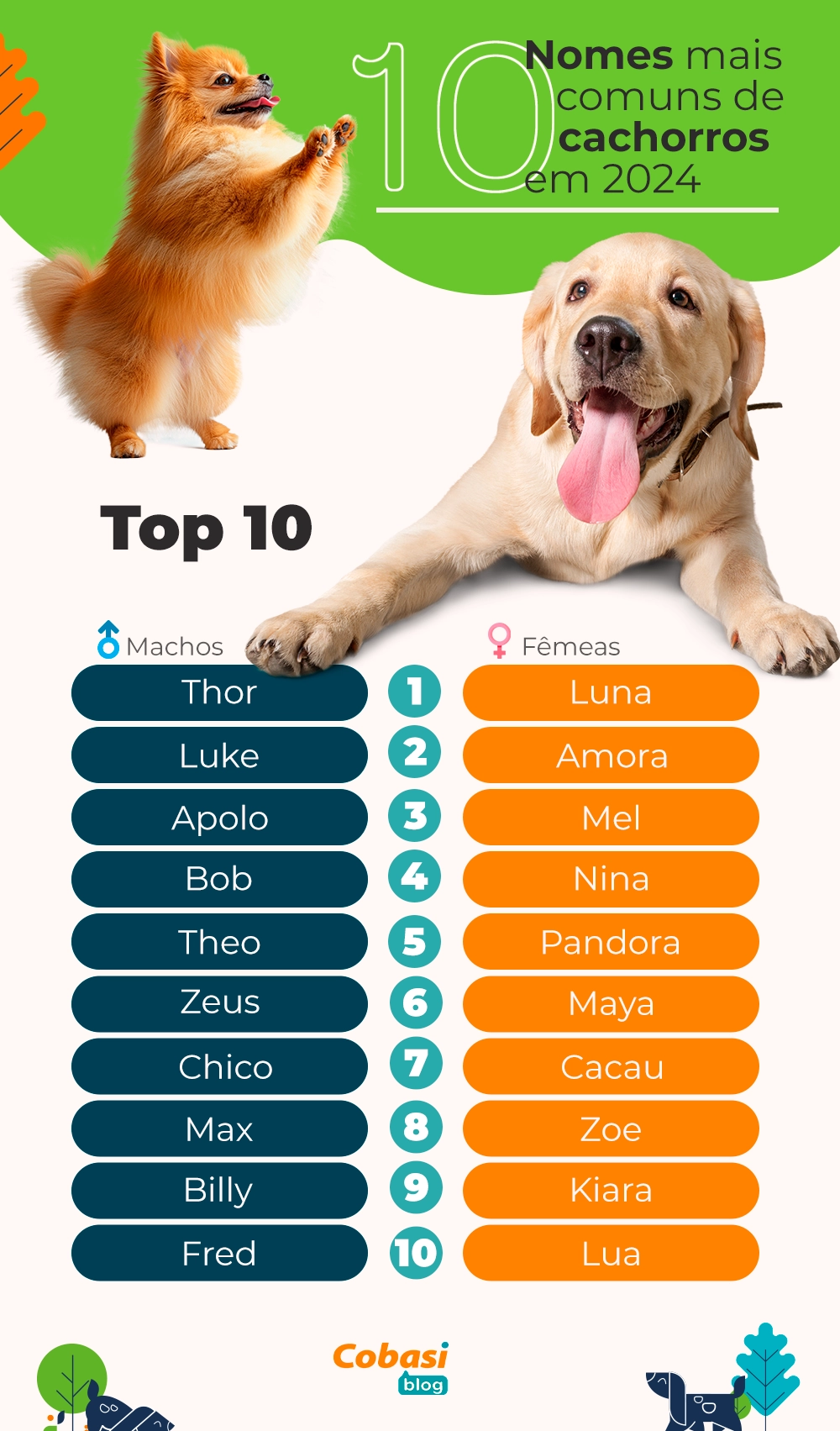 nomes combinando para cão e felino