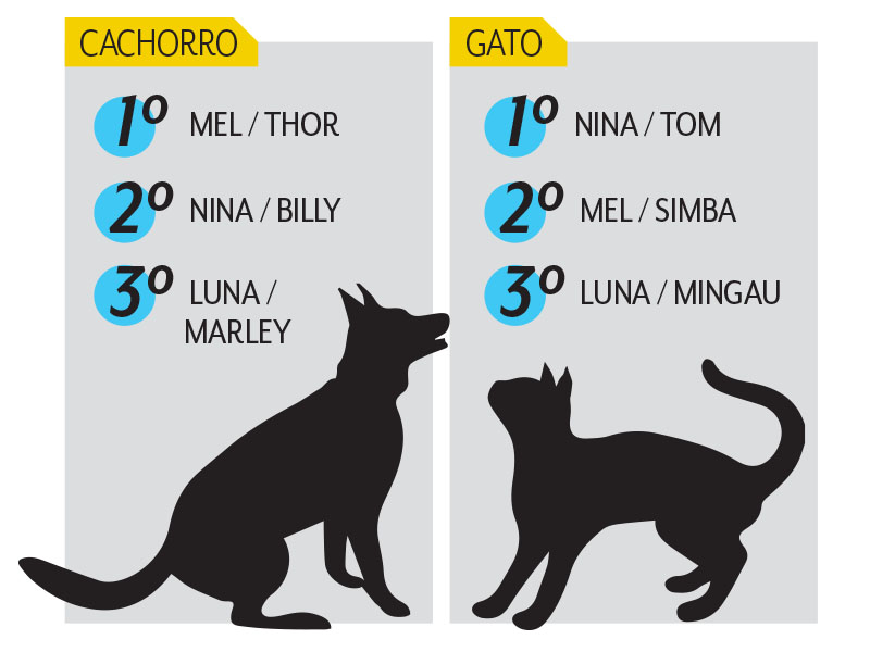 nomes temáticos para duplas de pets